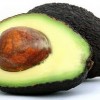 The Incredible Edible Avocado