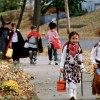 Recomendaciones Para la Temporada de Halloween