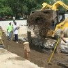 Chicago Festeja a los Graduados del Programa de Restauración Ecológica
