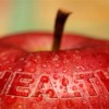 Weiss Memorial Hospital Offers Workshops to Keep Community Healthy