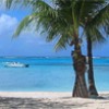 Northern Mariana Islands: Immigrant Hell