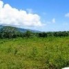 A Victory for Private Property