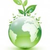 Destroy the Environment!