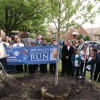 Latino Youth Plant Peace Tree