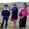 Combating Racism in the Americas
