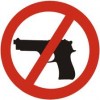 Slipping Deeper Into the Police State