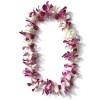 Chiro One Celebrates Health Hawaiian Style