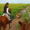 The International Land Grab