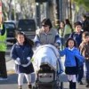 Study Reveals Chicago Hispanic Neighborhoods Have Less Green Space