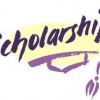 Call for Applications:  Illinois Latino Nonprofit Leadership Academy