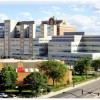 Personal del Hospital y Simpatizantes se Oponen al Límite de Admisiones en la Unidad Pública del Hospital para Infantes Pobres