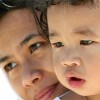 Immigration Law Not Created Equally, Study States