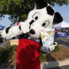 Chicago Fire Teams up with Beneful to Present ‘Dog Days of Soccer’