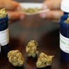 El Gobernador Convierte en Ley el Uso Medicinal de la Mariguana