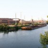 PERRO to Pilsen Residents: ‘Speak Up’