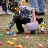 Eggs Up For Grabs in the South Loop