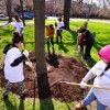 Limpieza de Primavera en Humboldt Park a Cargo de Voluntarios de Exelon