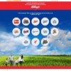 KELLOGG’S Celebrates Families with Launch of <em>Días Grandiosos</em>