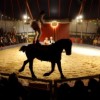 Zoppé Italian Circus Comes to Chicago