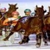 ‘A Night at the Races’