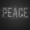 Peace by Piece / Paz, Paso a Paso – A Youth-led Community Event