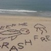 Many U.S. Beaches Are So Polluted They Can Make You Sick