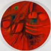Two New Exhibitions at the National Museum of Mexican Art