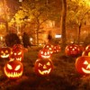 Berwyn Park District Hosts New Event, “All Hallow’s Eve”
