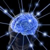 Programa ‘Dele Mantenimieinto a su Cerebro’