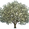 November Money Smart Workshops at CPL
