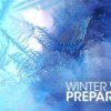 Noviembre es el Mes para Prepararse para el Invierno en Illinois