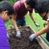Solicitudes Abiertas para Internados Pagados de After School Matters