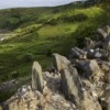 Travel and Adventure Show Comes to Chicago