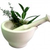 Plantas con Poder Curativo para Aliviar lo que le Aqueja