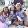 Chicago Shakespeare en los Parques Los Más Grandes Hits de Shakespeare