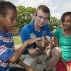 Chill Out with Live Entertainment, Food, and Family Fun at Brookfield Zoo’s Summer Nights
