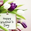 Celebraciones del Día de la Madre