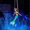 Cirque Italia Comes to Cicero