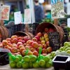 South Loop to Welcome New Farmers Market