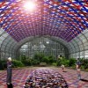 Garfield Park Conservatory to Welcome New Art Installation