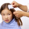 Los Piojos Son Ahora Más Dífícil de Erradicar en 25 Estados