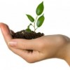 City of Chicago Launches Workshop Series for Startups