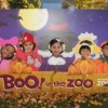 Brookfield Zoo’s Annual Boo! at the Zoo Offers Halloween Fun for Families