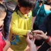 In a Time of Butterflies El Valor Monarch Butterfly Release Party