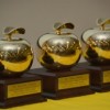 Golden Apple Scholars Program Expands