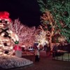 ComEd Shares the Light by Supporting Community Holiday Lighting Events
