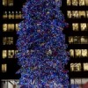 Tree Lighting Ceremony Set in Millennium Park
