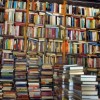 Books Galore at Triton College Library with Family Reading Day
