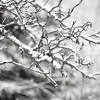 “Winter Weather – Get it Together”