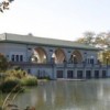 El Distrito de Parques de Chicago anuncia la Inscripción para Programas en el Parque de la Primavera